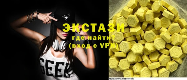 ECSTASY Горняк