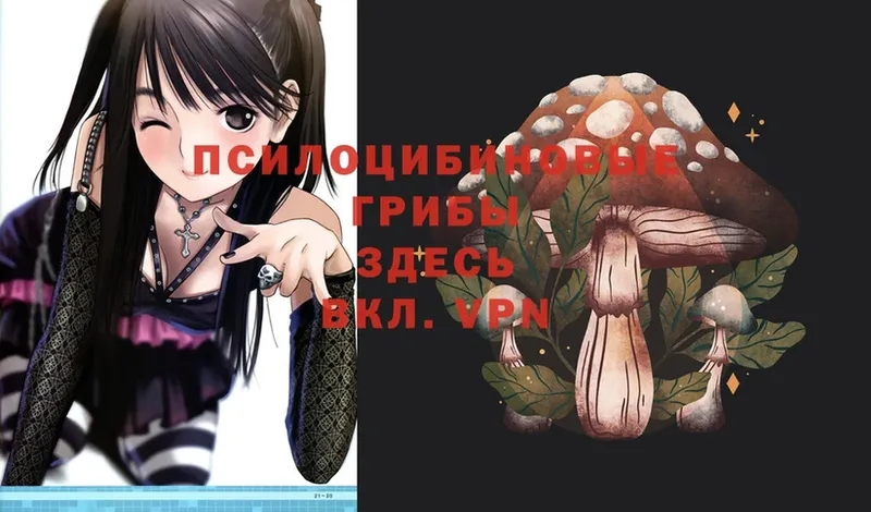 KRAKEN ONION  Алексеевка  Псилоцибиновые грибы Magic Shrooms 